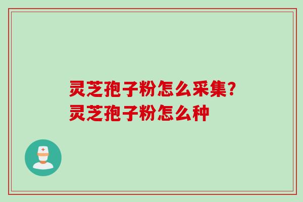 灵芝孢子粉怎么采集?灵芝孢子粉怎么种 灵芝孢子粉怎么采集?灵芝孢子粉怎么种