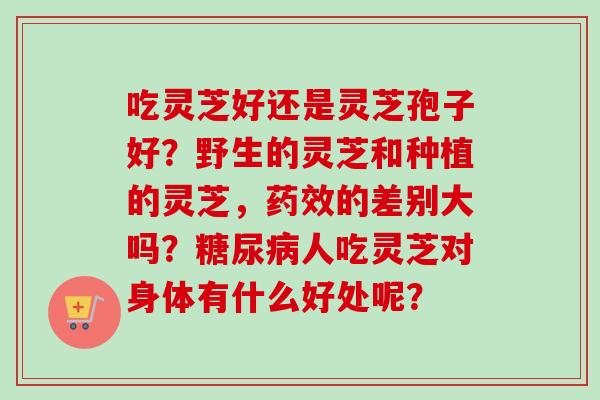 吃灵芝好还是灵芝孢子好？野生的灵芝和种植的灵芝，药效的差别大吗？糖尿病人吃灵芝对身体有什么好处呢？