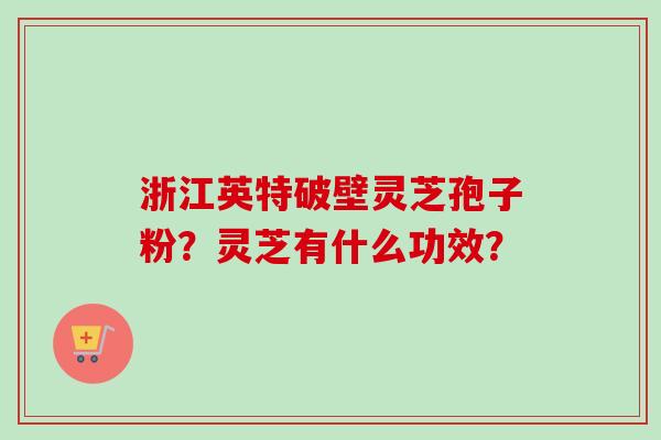 浙江英特破壁灵芝孢子粉？灵芝有什么功效？