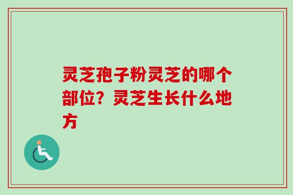 灵芝孢子粉灵芝的哪个部位？灵芝生长什么地方