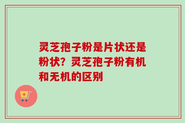 灵芝孢子粉是片状还是粉状？灵芝孢子粉有机和无机的区别