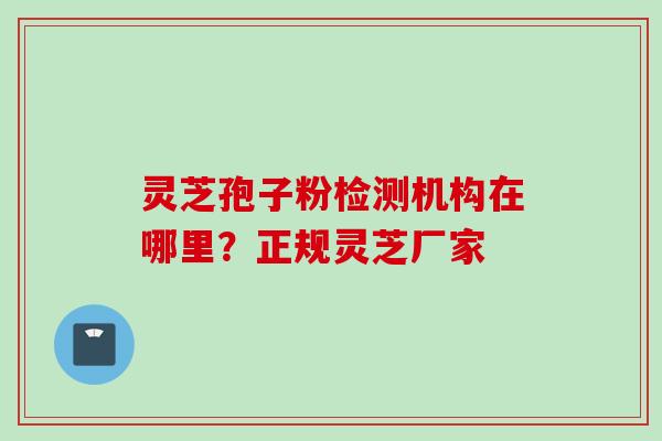 灵芝孢子粉检测机构在哪里?正规灵芝厂家 灵芝孢子粉检测机构在哪里?正规灵芝厂家