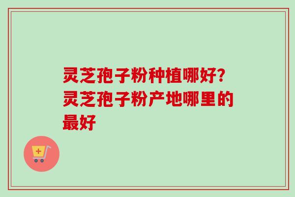 灵芝孢子粉种植哪好？灵芝孢子粉产地哪里的最好