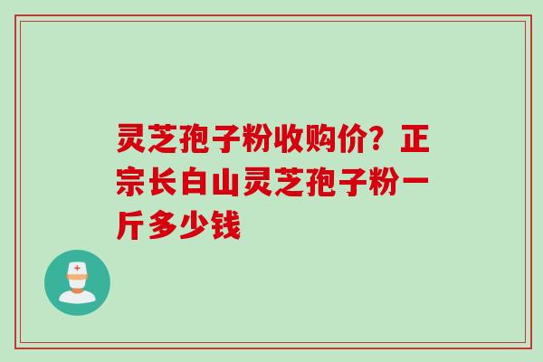 灵芝孢子粉收购价？正宗长白山灵芝孢子粉一斤多少钱