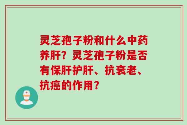 灵芝孢子粉和什么中药养肝？灵芝孢子粉是否有保肝护肝、抗衰老、抗癌的作用？