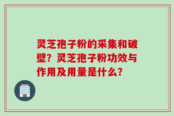 灵芝孢子粉的采集和破壁？灵芝孢子粉功效与作用及用量是什么？