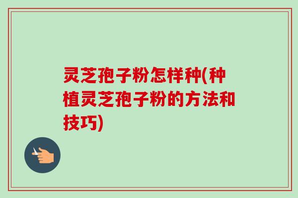 灵芝孢子粉怎样种(种植灵芝孢子粉的方法和技巧)