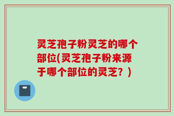 灵芝孢子粉灵芝的哪个部位(灵芝孢子粉来源于哪个部位的灵芝？)
