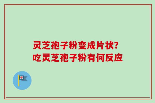 灵芝孢子粉变成片状？吃灵芝孢子粉有何反应