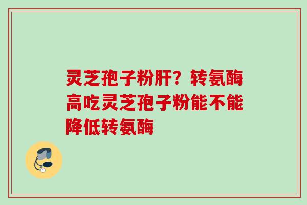 灵芝孢子粉肝？转氨酶高吃灵芝孢子粉能不能降低转氨酶