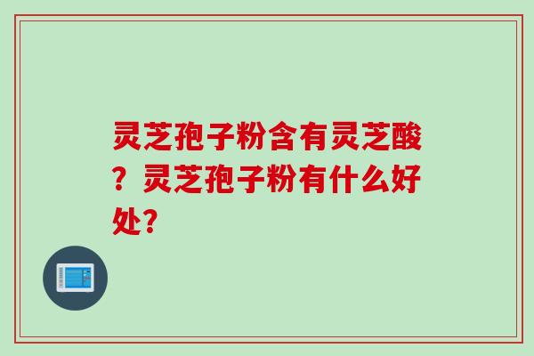 灵芝孢子粉含有灵芝酸？灵芝孢子粉有什么好处？