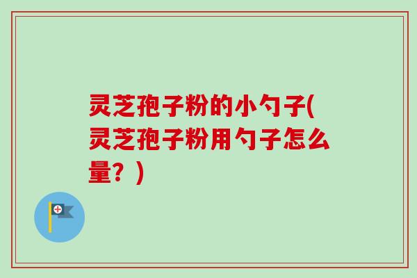 灵芝孢子粉的小勺子(灵芝孢子粉用勺子怎么量？)
