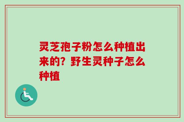 灵芝孢子粉怎么种植出来的？野生灵种子怎么种植