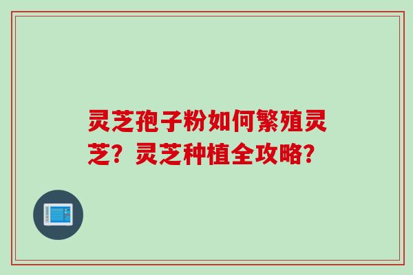 灵芝孢子粉如何繁殖灵芝?灵芝种植全攻略? 灵芝孢子粉如何繁殖灵芝?灵芝种植全攻略?