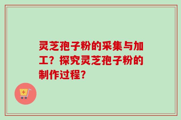灵芝孢子粉的采集与加工？探究灵芝孢子粉的制作过程？
