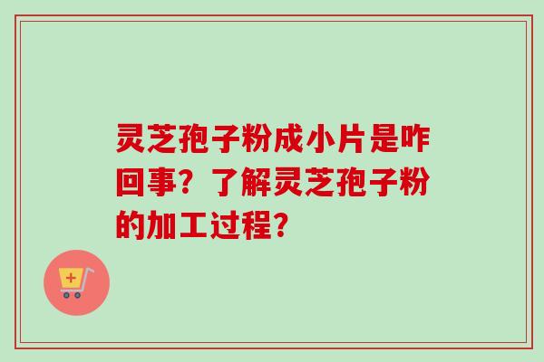 灵芝孢子粉成小片是咋回事？了解灵芝孢子粉的加工过程？