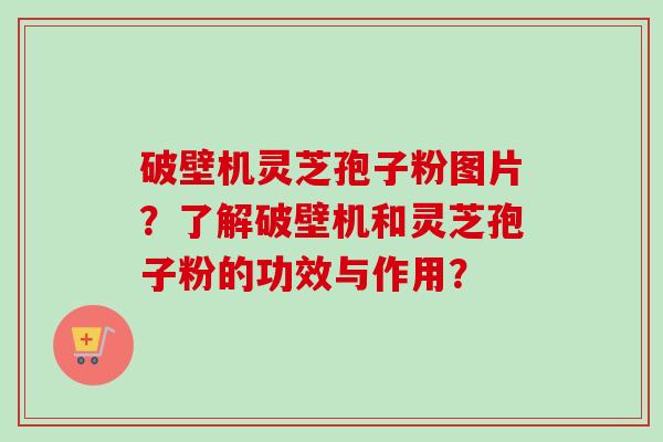 破壁机灵芝孢子粉图片？了解破壁机和灵芝孢子粉的功效与作用？