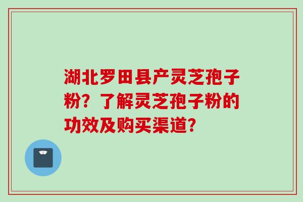 湖北罗田县产灵芝孢子粉？了解灵芝孢子粉的功效及购买渠道？