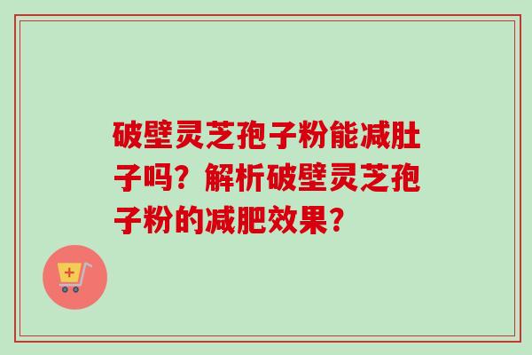 破壁灵芝孢子粉能减肚子吗？解析破壁灵芝孢子粉的减肥效果？