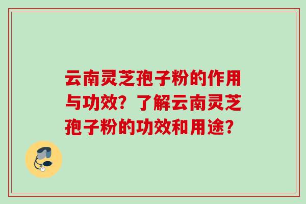 云南灵芝孢子粉的作用与功效？了解云南灵芝孢子粉的功效和用途？