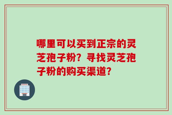 哪里可以买到正宗的灵芝孢子粉？寻找灵芝孢子粉的购买渠道？