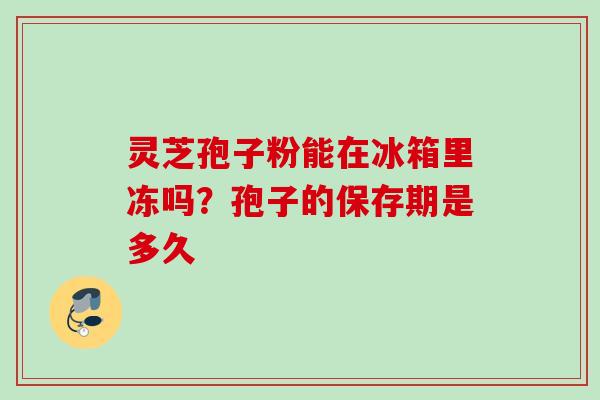 灵芝孢子粉能在冰箱里冻吗？孢子的保存期是多久