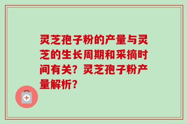 灵芝孢子粉的产量与灵芝的生长周期和采摘时间有关？灵芝孢子粉产量解析？