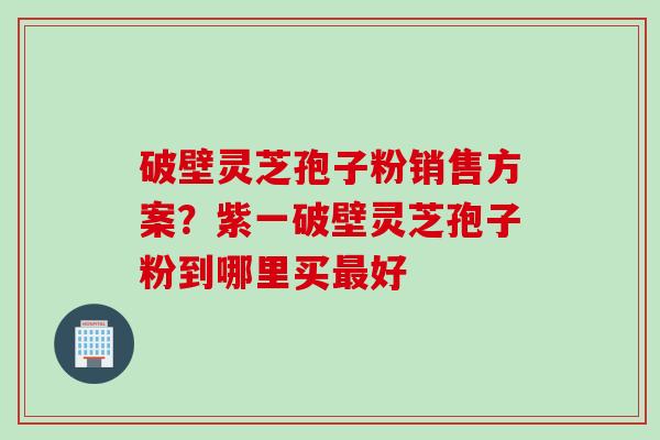 破壁灵芝孢子粉销售方案？紫一破壁灵芝孢子粉到哪里买最好