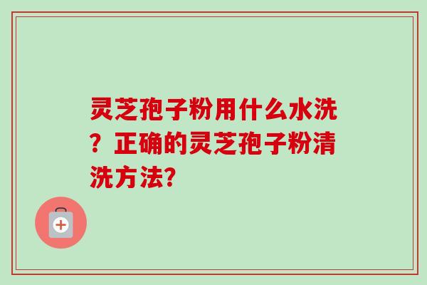 灵芝孢子粉用什么水洗？正确的灵芝孢子粉清洗方法？