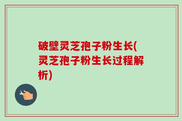 破壁灵芝孢子粉生长(灵芝孢子粉生长过程解析)