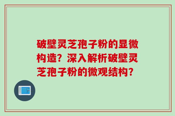 破壁灵芝孢子粉的显微构造?深入解析破壁灵芝孢子粉的微观结构? 破壁灵芝孢子粉的显微构造?深入解析破壁灵芝孢子粉的微观结构?