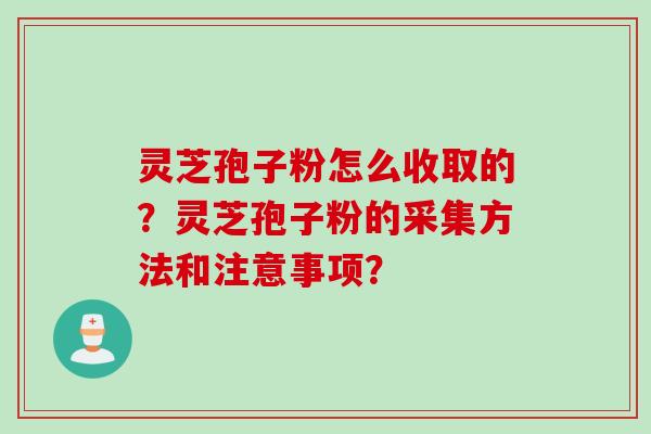灵芝孢子粉怎么收取的？灵芝孢子粉的采集方法和注意事项？
