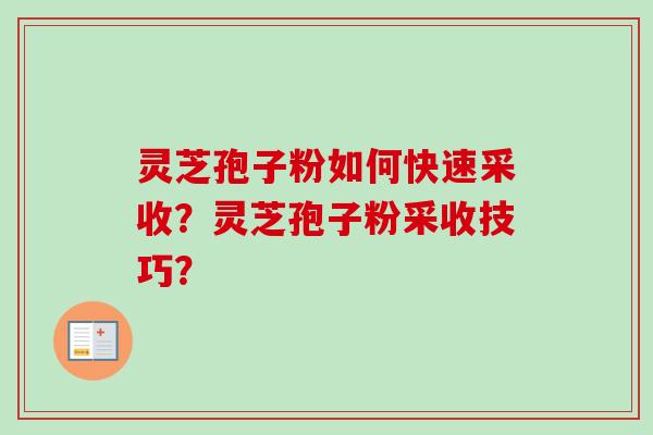 灵芝孢子粉如何快速采收？灵芝孢子粉采收技巧？