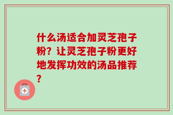 什么汤适合加灵芝孢子粉？让灵芝孢子粉更好地发挥功效的汤品推荐？
