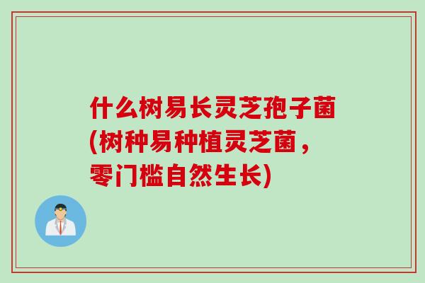 什么树易长灵芝孢子菌(树种易种植灵芝菌，零门槛自然生长)