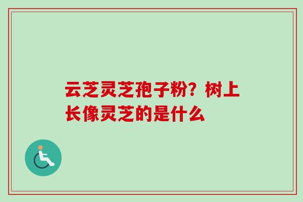 云芝灵芝孢子粉？树上长像灵芝的是什么