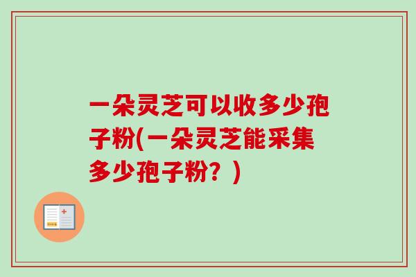 一朵灵芝可以收多少孢子粉(一朵灵芝能采集多少孢子粉？)