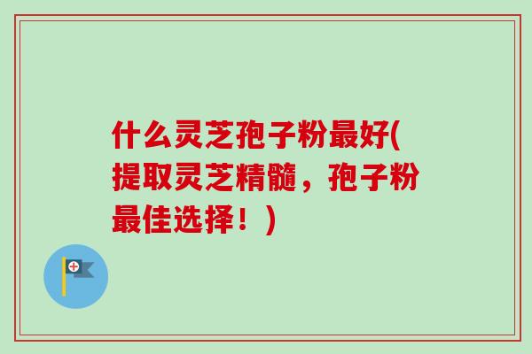 什么灵芝孢子粉好(提取灵芝精髓,孢子粉佳选择!) 什么灵芝孢子粉好(提取灵芝精髓,孢子粉佳选择!)
