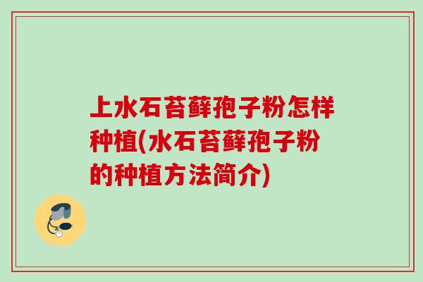 上水石苔藓孢子粉怎样种植(水石苔藓孢子粉的种植方法简介)