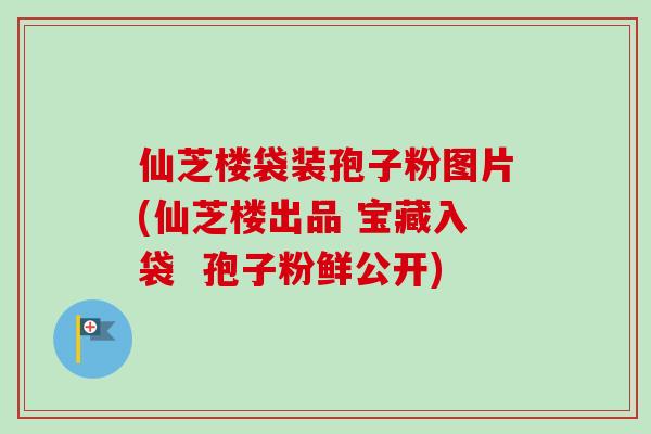 仙芝楼袋装孢子粉图片(仙芝楼出品 宝藏入袋 孢子粉鲜公开) 仙芝楼袋装孢子粉图片(仙芝楼出品 宝藏入袋 孢子粉鲜公开)