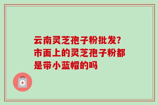 云南灵芝孢子粉批发？市面上的灵芝孢子粉都是带小蓝帽的吗