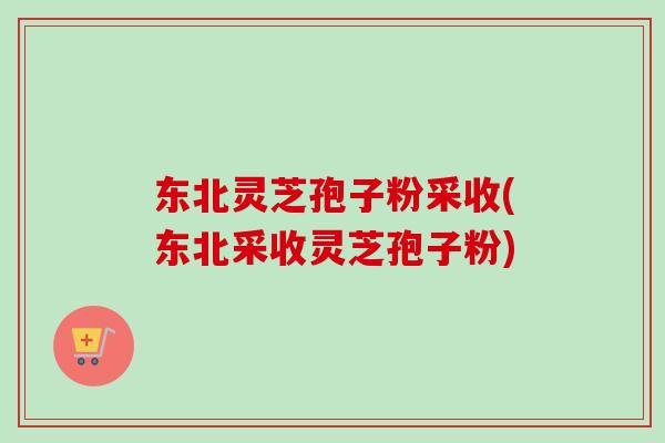 东北灵芝孢子粉采收(东北采收灵芝孢子粉)