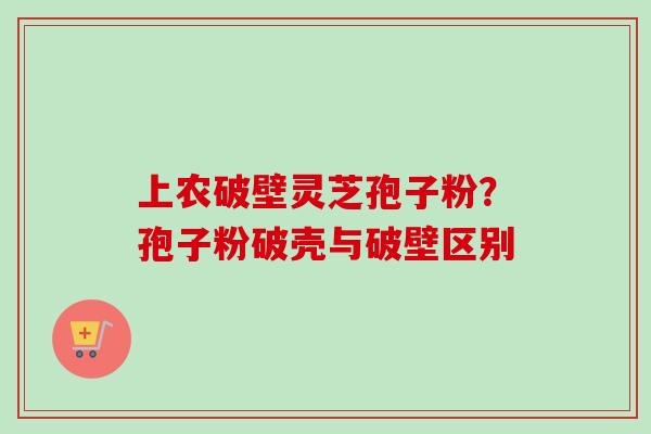 上农破壁灵芝孢子粉？孢子粉破壳与破壁区别
