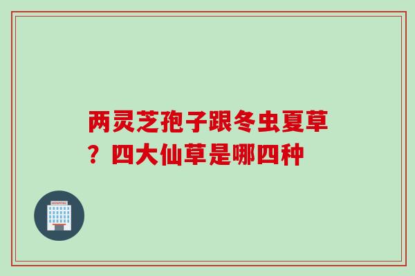两灵芝孢子跟冬虫夏草？四大仙草是哪四种