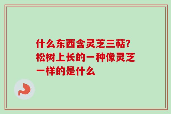 什么东西含灵芝三萜？松树上长的一种像灵芝一样的是什么