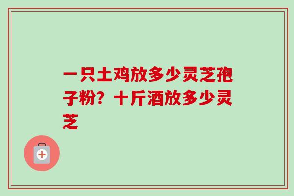 一只土鸡放多少灵芝孢子粉？十斤酒放多少灵芝