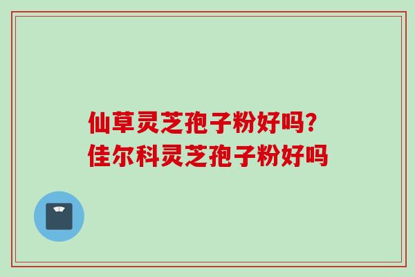 仙草灵芝孢子粉好吗？佳尔科灵芝孢子粉好吗
