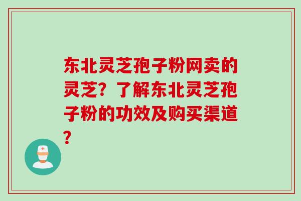 东北灵芝孢子粉网卖的灵芝？了解东北灵芝孢子粉的功效及购买渠道？