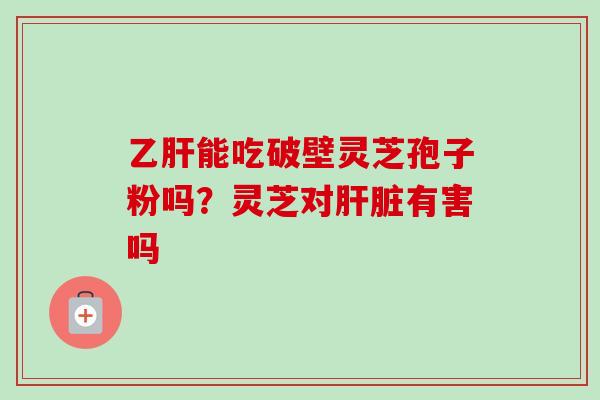 乙肝能吃破壁灵芝孢子粉吗？灵芝对肝脏有害吗