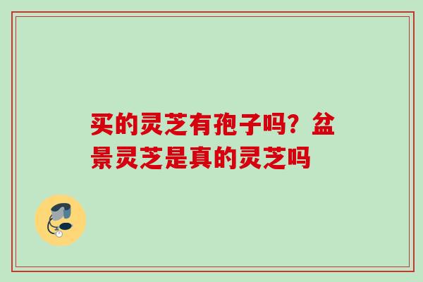 买的灵芝有孢子吗？盆景灵芝是真的灵芝吗